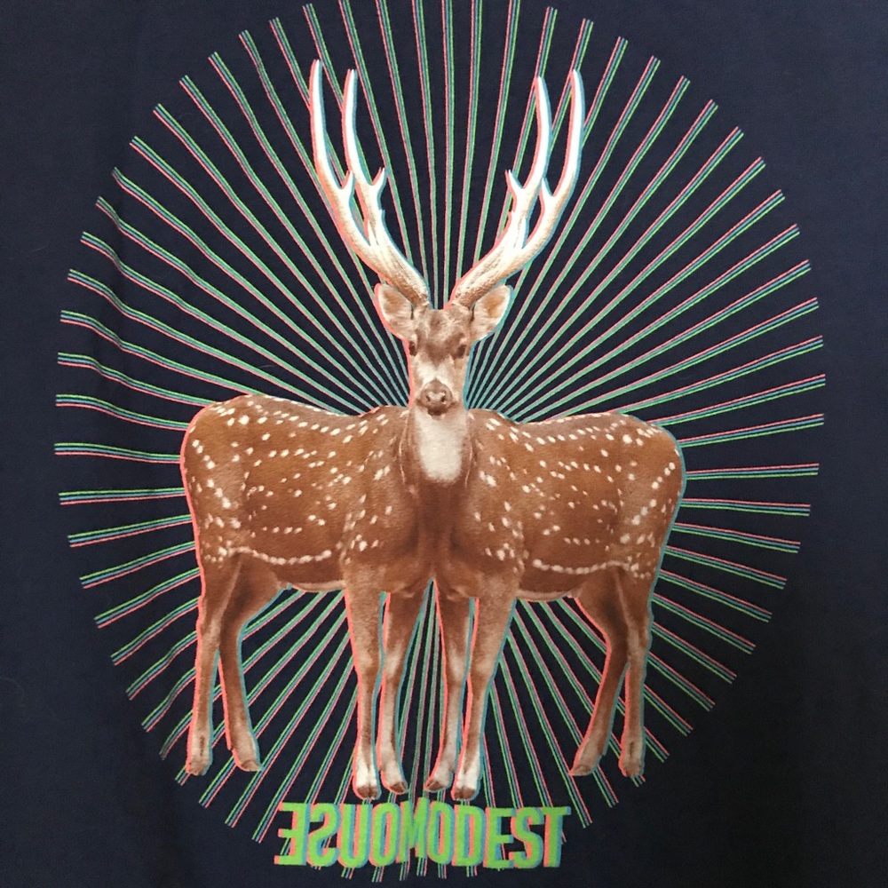 Adult Small Modest Mouse shirt